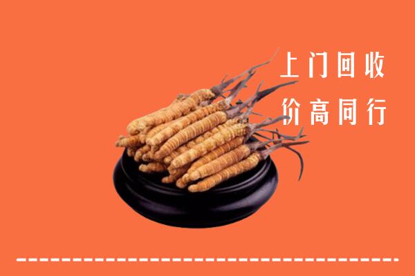 高价求购：北京石景山区回收散虫草
