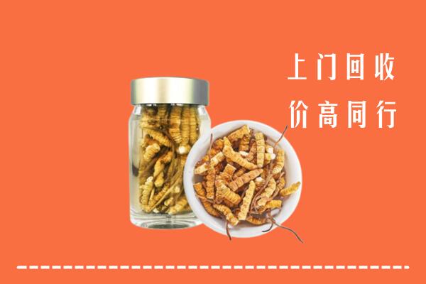 北京石景山区回收冬虫夏草